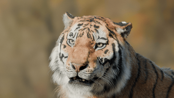 Tiger Lounge