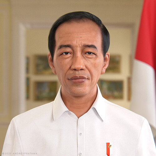 Jokowi_Portrait