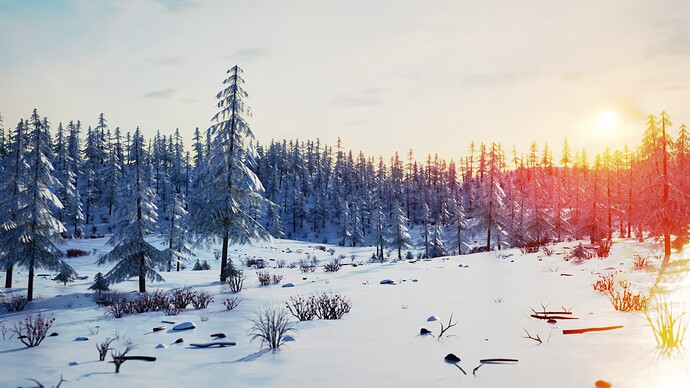 Winter Forest 13