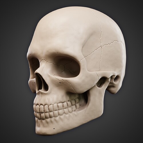 Skull 1