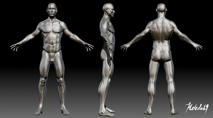 heledahn-3d-character-oc-Lonan-anatomy