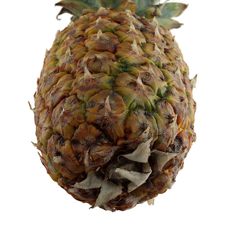 FS-0021 Pineapple2