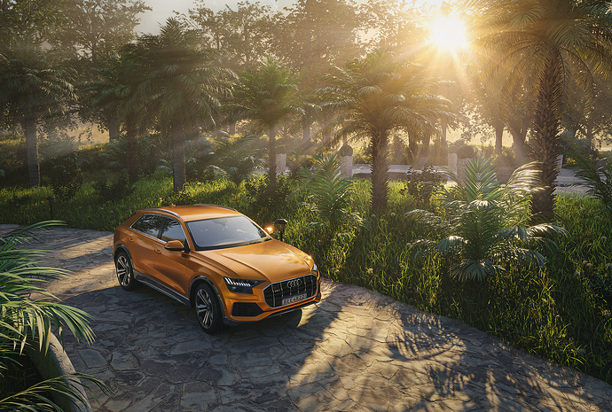 AUDIQ8cam1FB