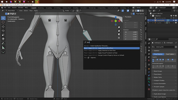 Rigify messes up mesh - Animation and Rigging - Blender Artists Community