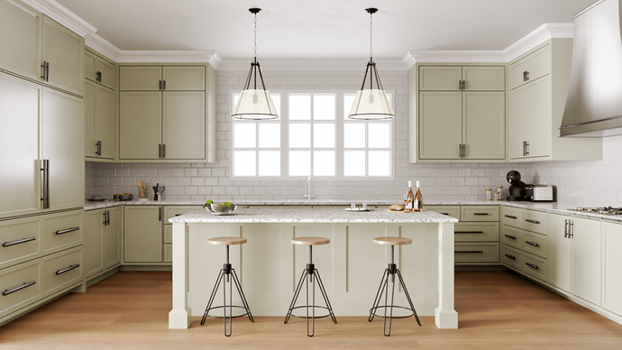 Transitional Kitchen Shot 1