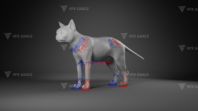 JF0O740A_BritishShorthair_Rig02