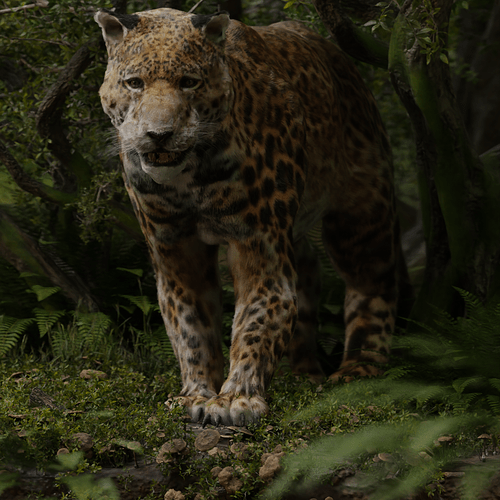 Jungle jaguar test 5_082200