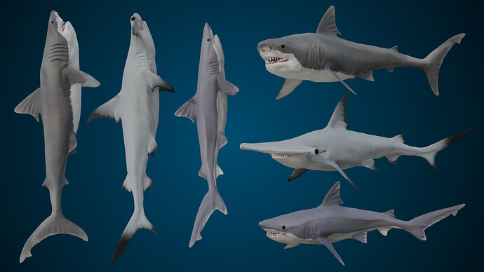 Shark Animation Keyframes Animated Sharks - Animations - Blender Artists Community