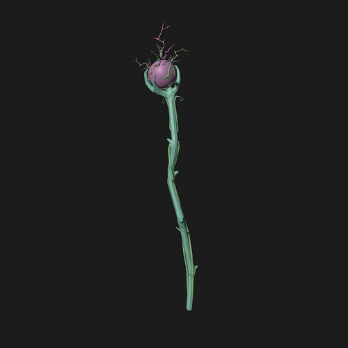 47th Render