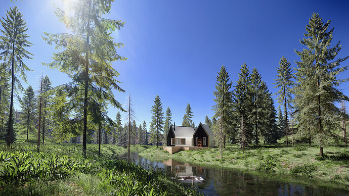 Forest 1