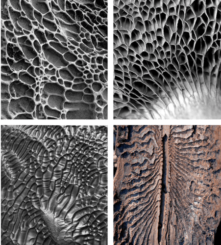 Texture examples