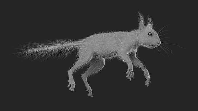 Squirrel_Osipkov_07