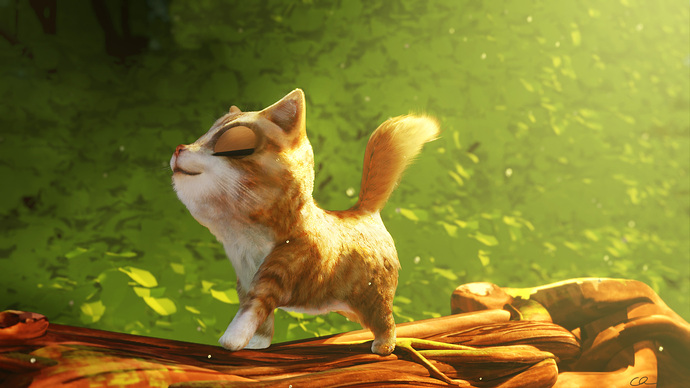 tabbycat_schristoph_002