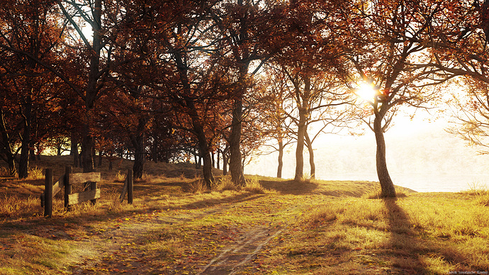 On_The_Way_Home