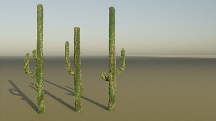 2023_1210_saguaro_001