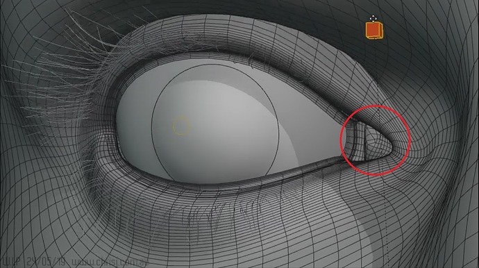 Eye