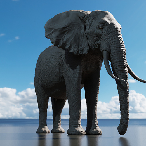 elefante_perfil_c