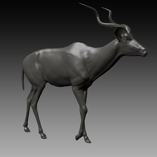 kudu%20sculpt%20mc