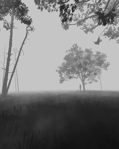 Mist