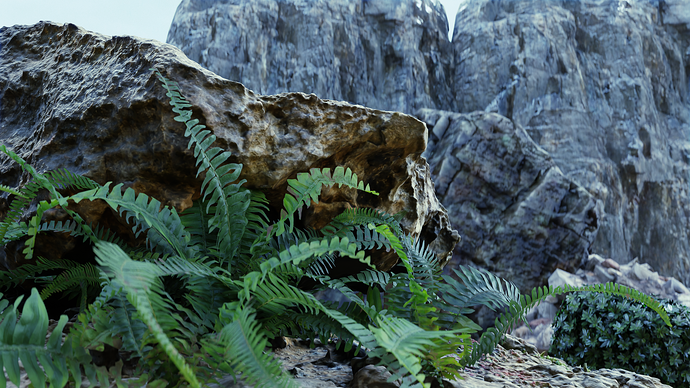 Rock and Ferns 1