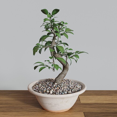 Ficus_bonsai_small3