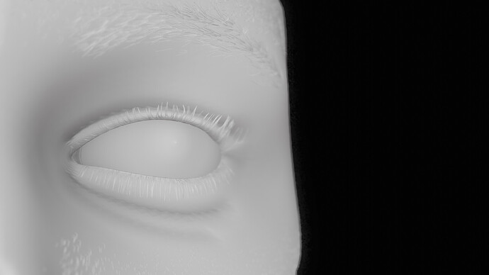 oeil model 3D