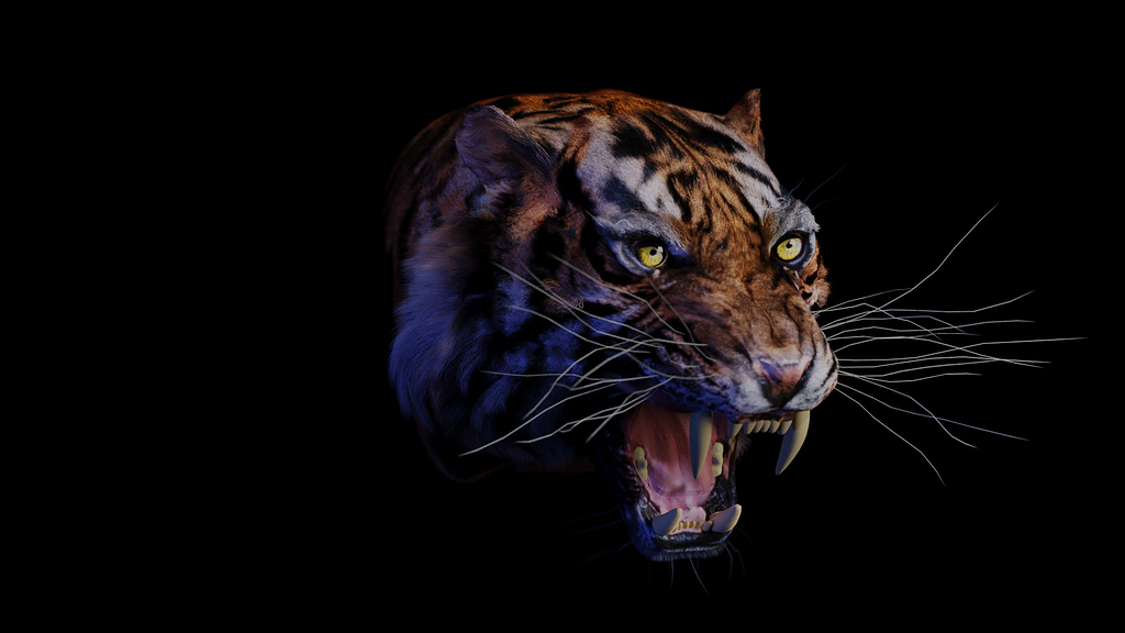 Tiger - Works in Progress - Blender Artists Community