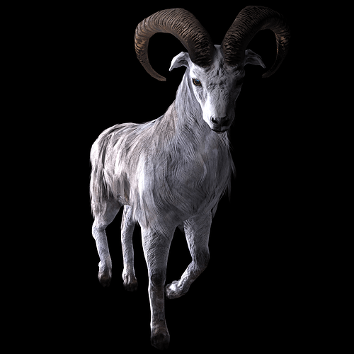 White Ovis R3
