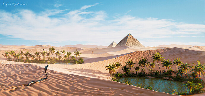 stefan-radenkovic-desert-sunny-final