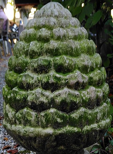 pinecone_foto_3