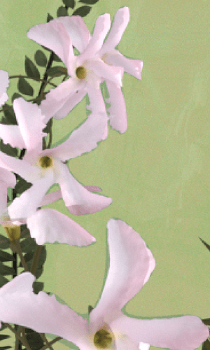 Screenshot 2025-09-09 at 12.27.06