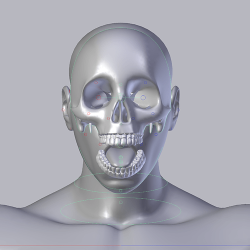 Skeleton as Bone Shapes