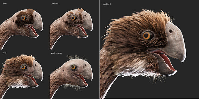 face_feathers_breakdown