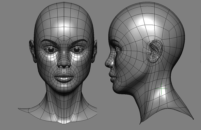 Face Model - Works in Progress - Blender Artists Community