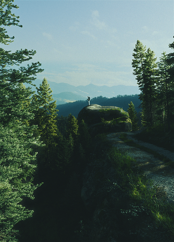 Test_00001