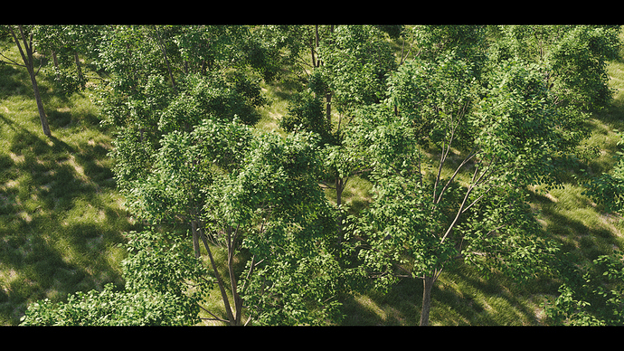 Forest_test