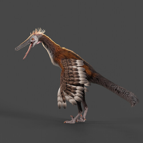 buitreraptor_finalMaterials