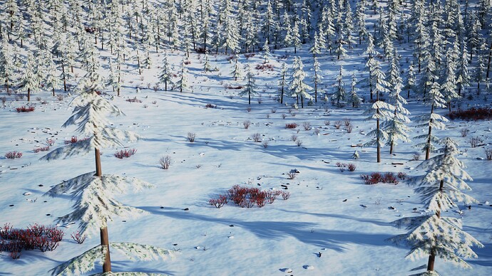 Winter Forest 12