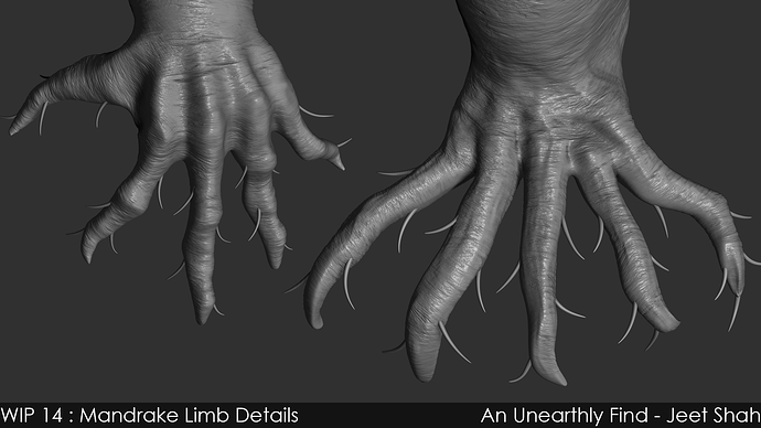 14_4_Mandrake_Limb_Details