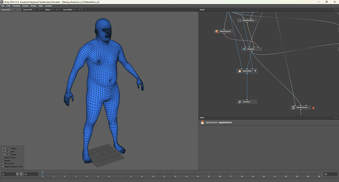 06_Wrap_02_BodyMesh_Complete