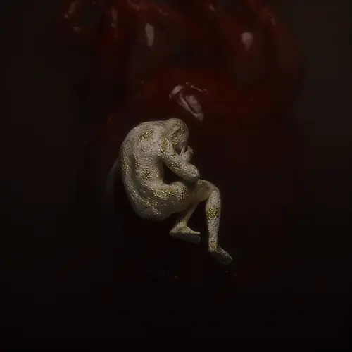 CompositionFetal_5