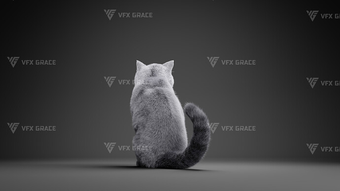 JF0O740A_BritishShorthair_Effect map05