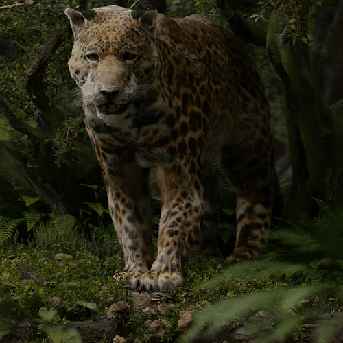 Jungle jaguar test 5_082200 (1)