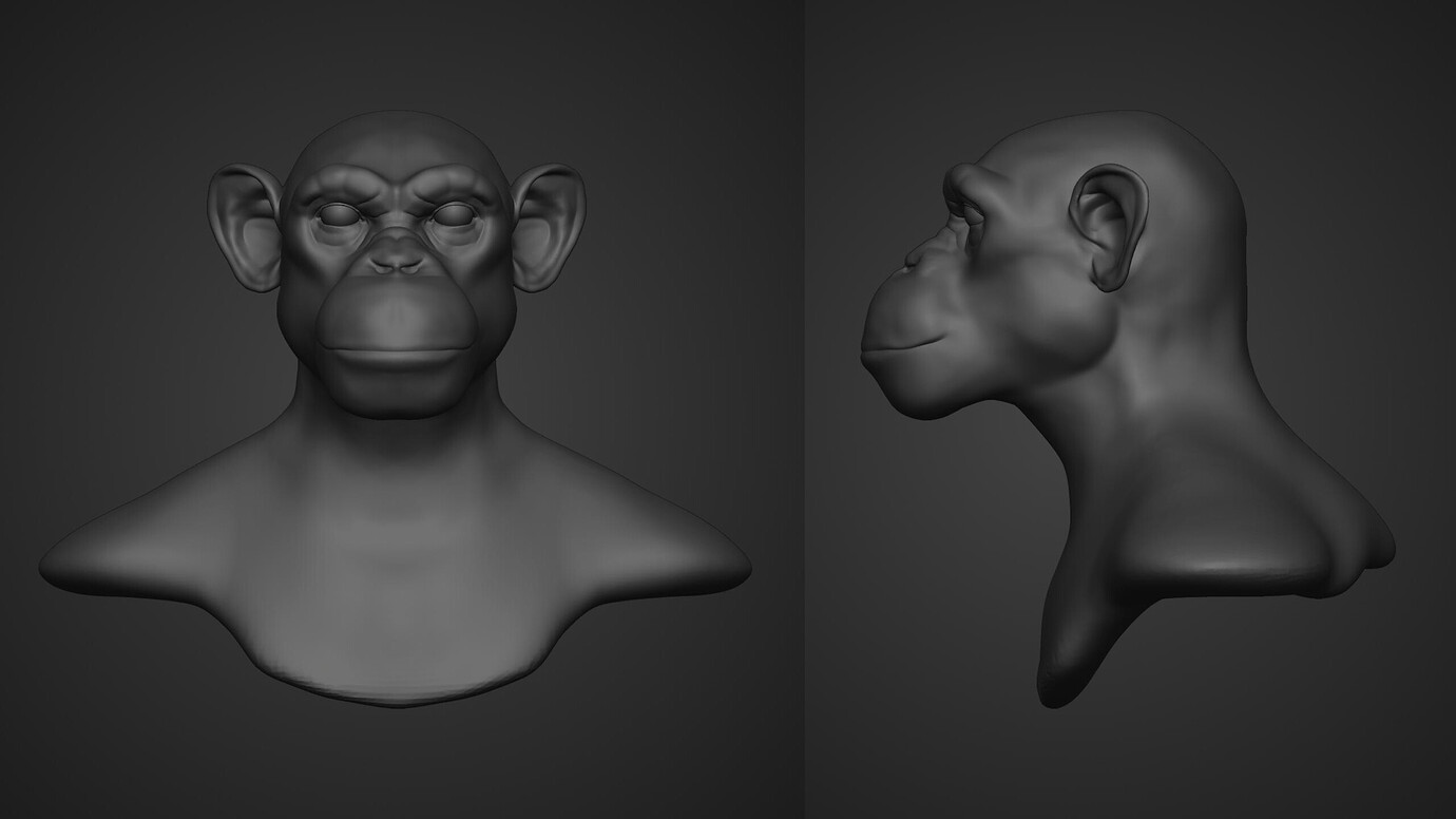 Chimpanzee Sculpt - Focused Critiques - Blender Artists Community