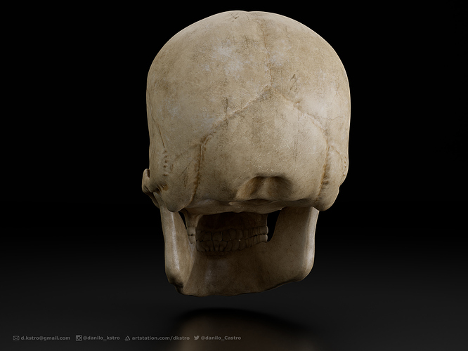 skull_04_D