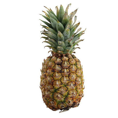 FS-0021 Pineapple0