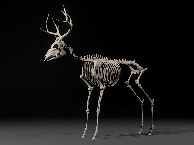 WT.Deer_skeletal-001