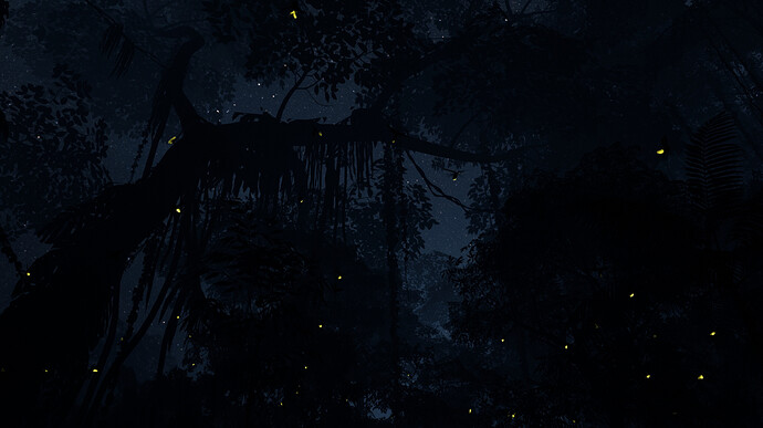 Jungle Forest Night