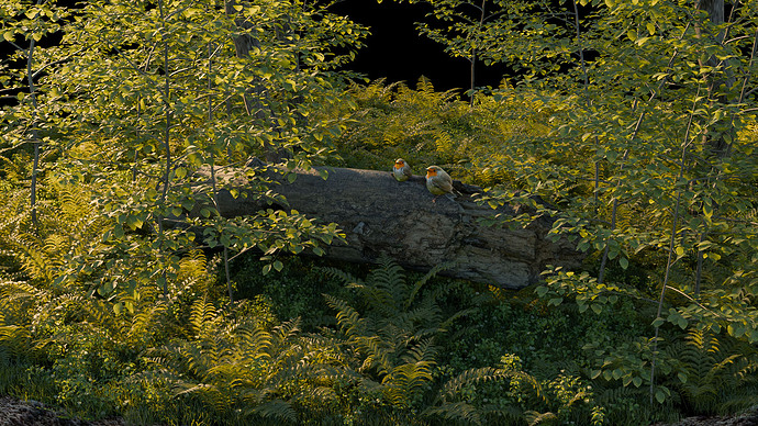 biome_close_03