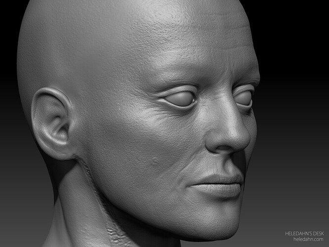 heledahn-new-skin-details-face